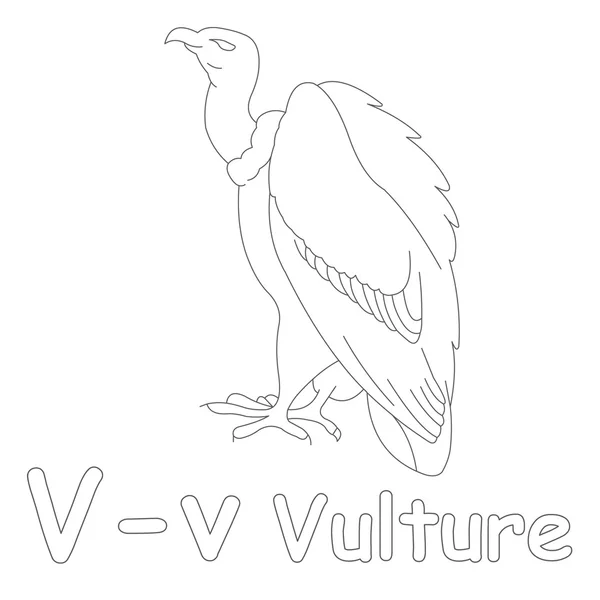 V pour coloriage de vautour — Photo
