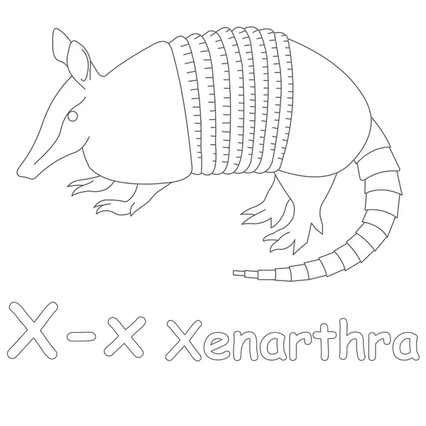x için xenarthra sayfa boyama