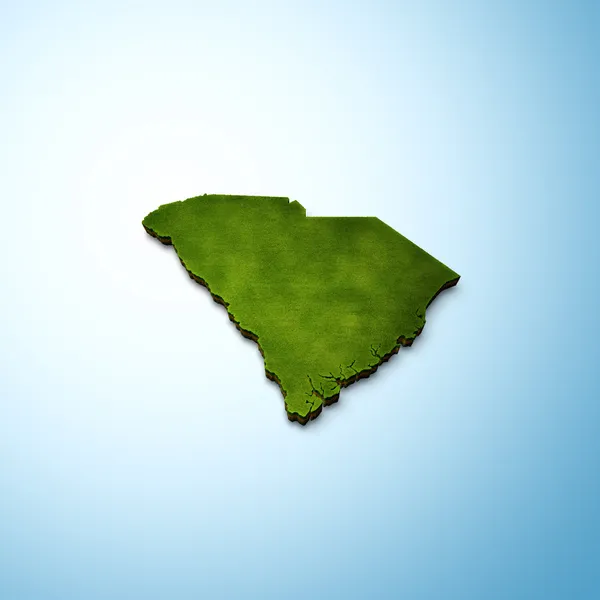 サウスカロライナの地図 ロイヤリティフリーのストック画像