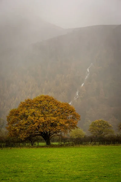 Few Days Heavy Rain English Lake District Led Streams Water — Foto Stock