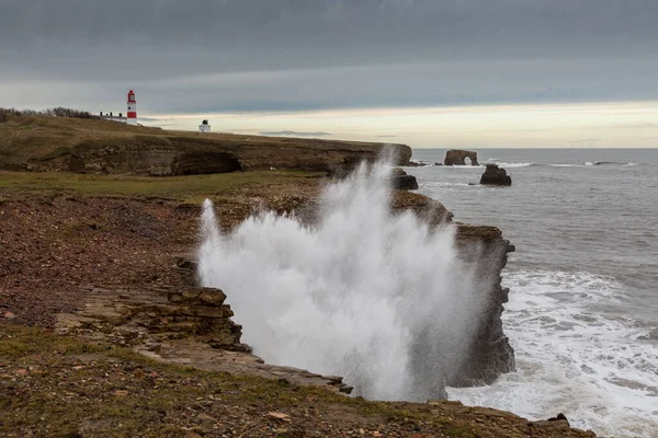 View Marsden Bay Sunderland Cliffs Sandstone Sea Stacks Tide Comes — ストック写真