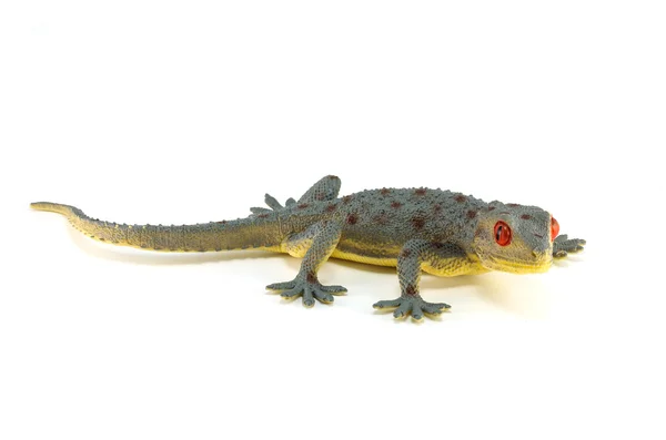 Gecko hračkagecko グッズ — ストック写真