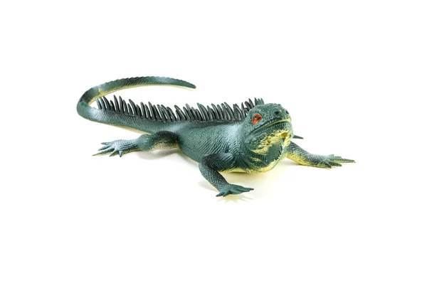 Șopârlă iguana jucărie — Fotografie, imagine de stoc