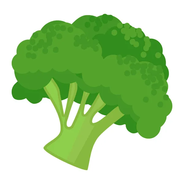 Sebze Brokoli Karikatürü Vektörü Izole Nesne — Stok Vektör