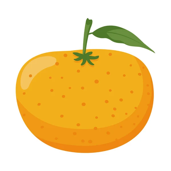 Fruta Cítricos Naranja Vector Dibujos Animados Objeto Aislado — Vector de stock