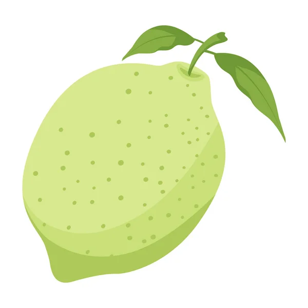 Fruta Verde Limón Dibujos Animados Vector Objeto Aislado — Vector de stock