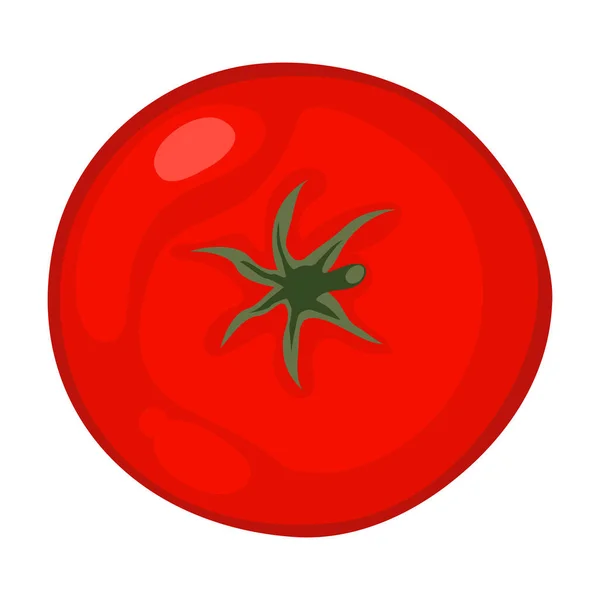 Tomaten Cartoon Vektor Isoliertes Objekt — Stockvektor
