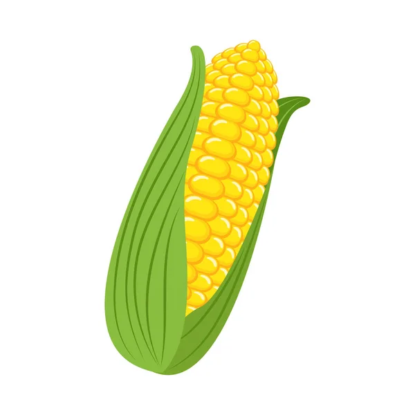 Növényi Élelmiszer Kukorica Rajzfilm Vektor Izolált Tárgy — Stock Vector