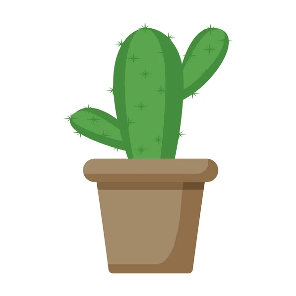 Växt Kaktus Gryta Tecknad Vektor Isolerat Objekt — Stock vektor