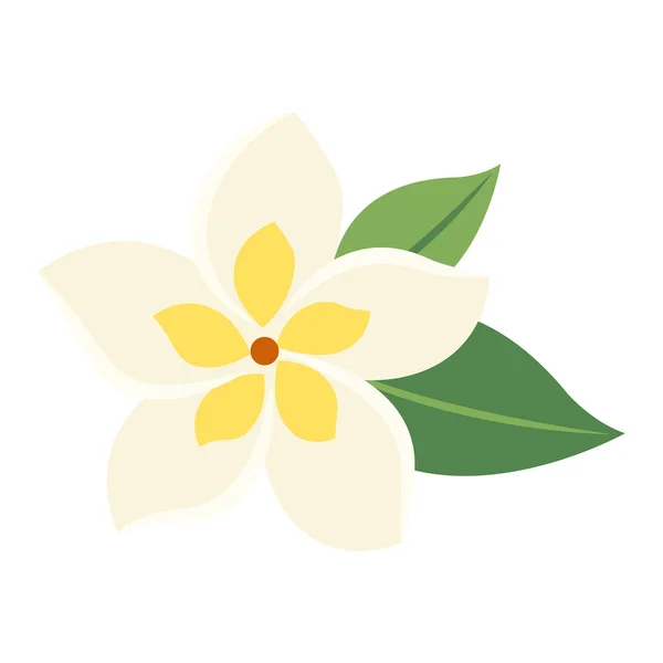Botanic Flower Frangipani Cartoon Vector Isolated Object — Stock Vector