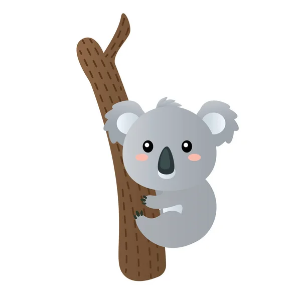 Animal Australien Koala Dessin Animé Vecteur Illustration Isolé Objet — Image vectorielle