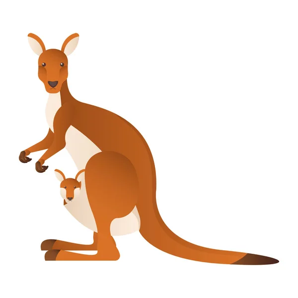 澳大利亚动物袋鼠卡通矢量图解分离物体 — 图库矢量图片