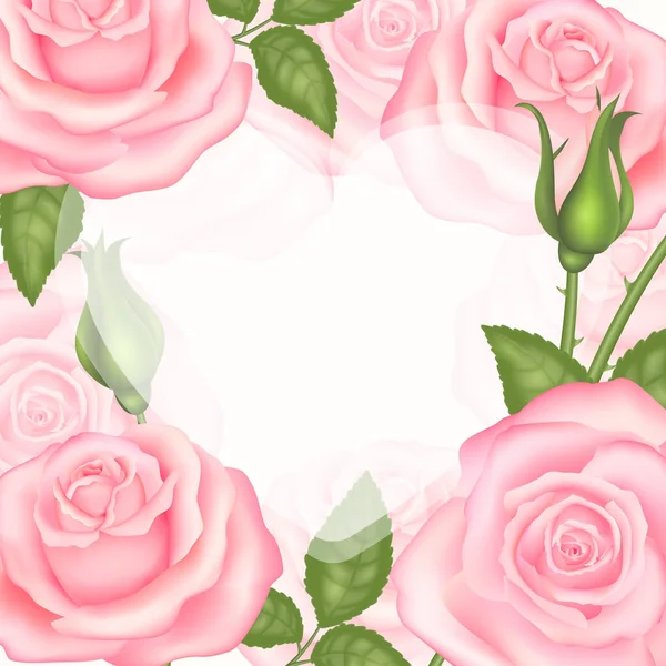 Botanic Garden Pink Rose Flower Nature Plant Decoration — Stock Photo, Image