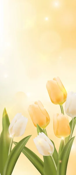 Fleur Tulipe Jaune Avec Bannière Fond Brillance Bokeh — Photo