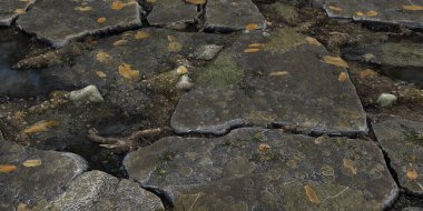 3D Realistic dirt wet puddles cobblestone ground rendered texture background image