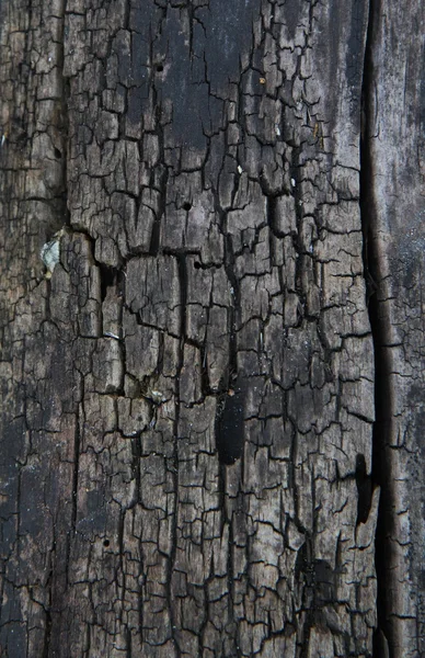 나무 질감의 불씨 — 스톡 사진