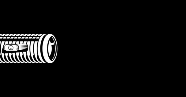 Фонарик Освещает Текст Новичков Светодиодная Лампа Абстрактное Анимационное Видео — стоковое видео