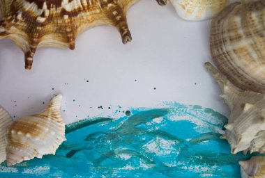 Animal Shell, Summer vacation background, marine pattern.