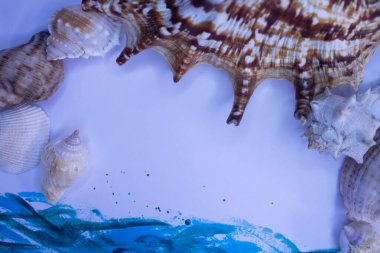 Animal Shell, Summer vacation background, marine pattern.