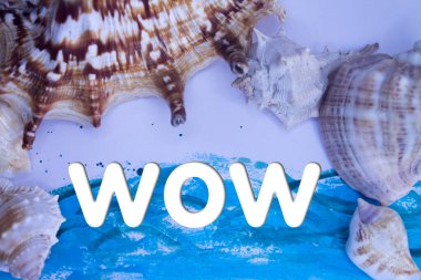 Animal Shell, Summer vacation, marine background with Wow text.