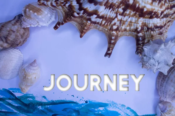 Animal Shell, Summer vacation, marine background with Journey text.