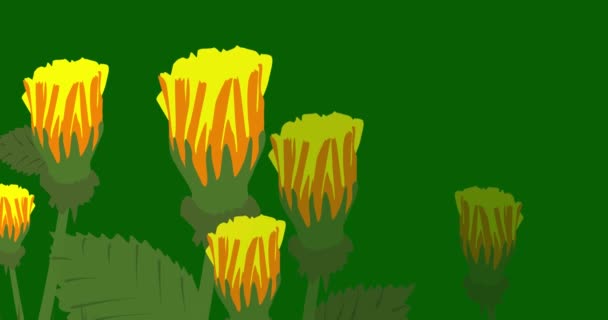 Blomsteräng Med Garanti Text Animering Tecknad Vildblomma — Stockvideo
