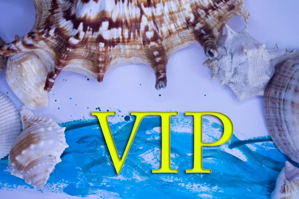 Animal Shell, Summer vacation, marine background with VIP text.