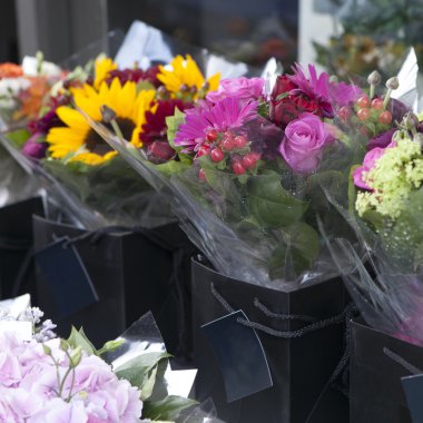 parsel içinde renkli çiçekler