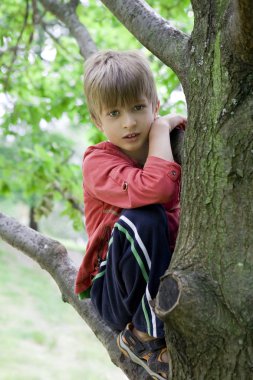 cute boy hanging from branch of tree clipart