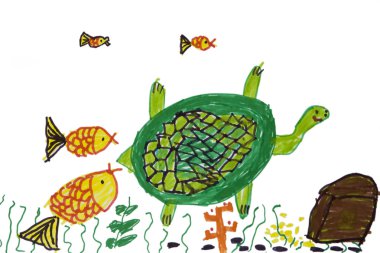 Denizde balık ile turtle. Adil hikaye