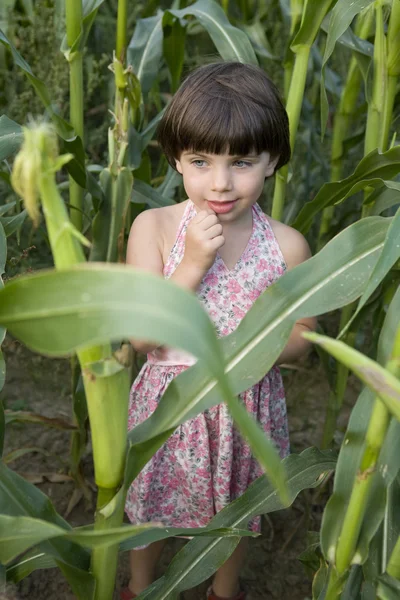 Pequeña linda chica de pie en el campo de maíz — Foto de Stock