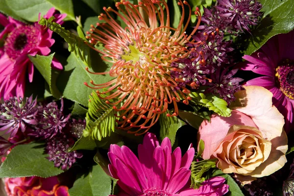 Bunter Blumenstrauß. — Stockfoto
