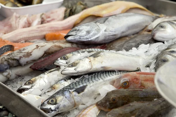 Stall of fishes — Stock Photo, Image
