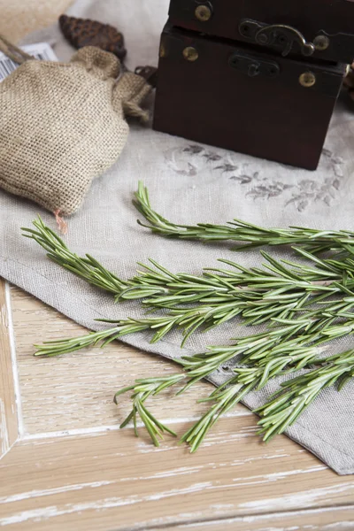 Green plant on sacking — Stock Photo, Image