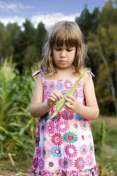 Meisje zes jaar oud met maïs op veld — Stockfoto