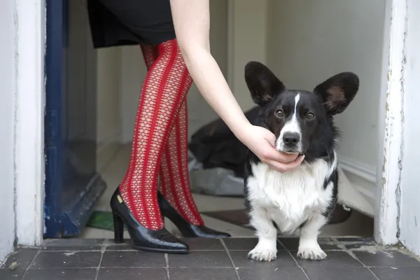 Dog at woman's legs — Stock Photo, Image