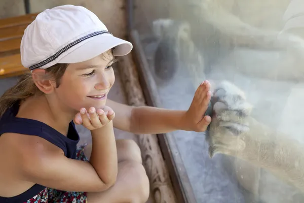 Little cute girl  hand to the glass to print of the paw — Stock Photo, Image