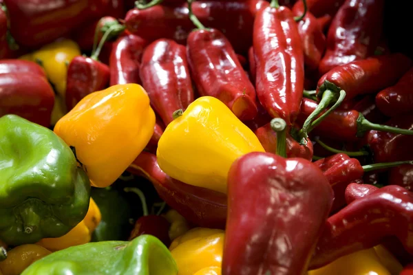 Frutos e produtos hortícolas — Fotografia de Stock