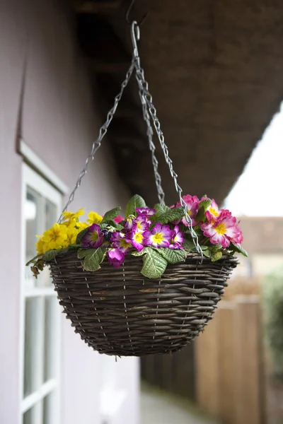 Purple petunia hanging basket — Stock Photo, Image