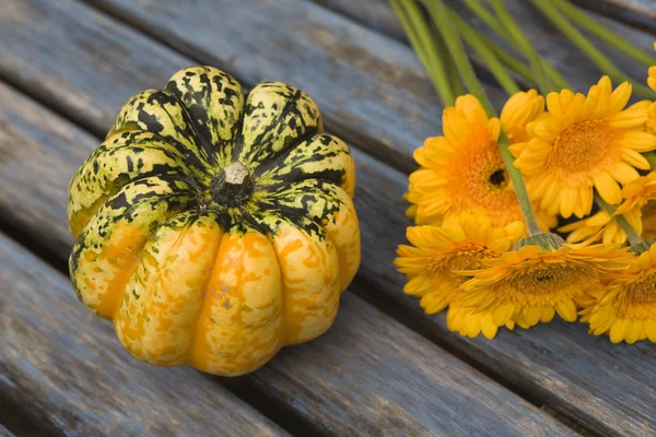 Hermosas calabazas frescas — Foto de Stock