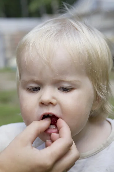 A kislány enni a málna — Stock Fotó