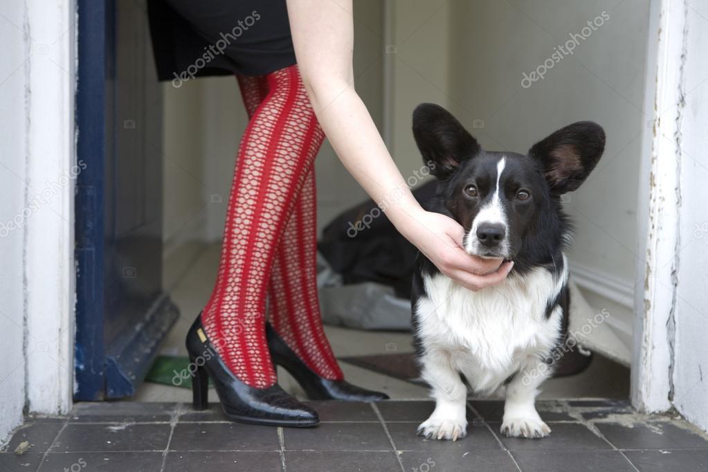 Dog at woman's legs