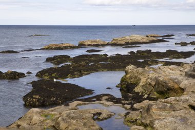 deniz üzerinde taş