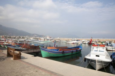 Alayan Garbour