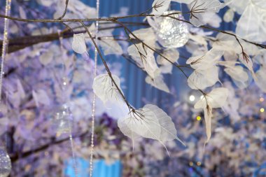 mavi renkli yapraklarda