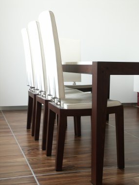 deri koltuk içinde ev. 