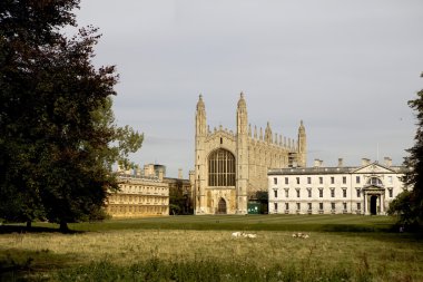 Yeni court st john's college