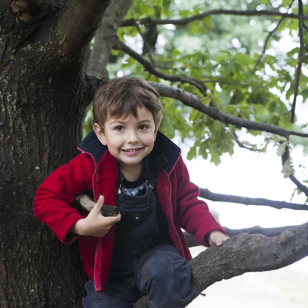 Uśmiechnięty chłopiec przekazanie z gałęzi drzewa — Zdjęcie stockowe