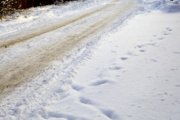 Road, sneeuw, vallende tijdens schemering. — Stockfoto