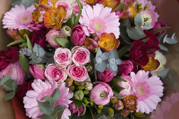 Colorida variedad de flores — Foto de Stock